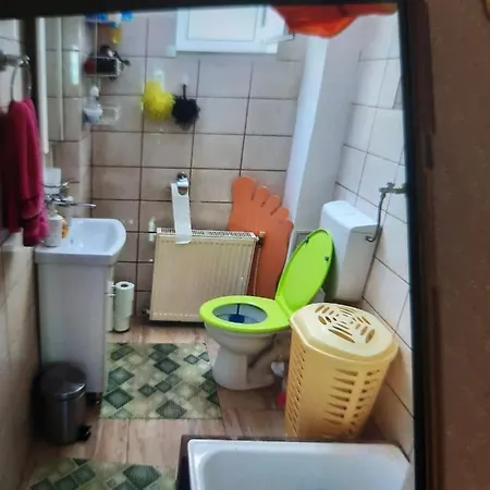 Apartament Cu Doua Camere Si Gradina Cluj-Napoca Exterior photo