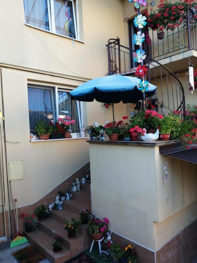 Cu Doua Si Gradina Apartment *