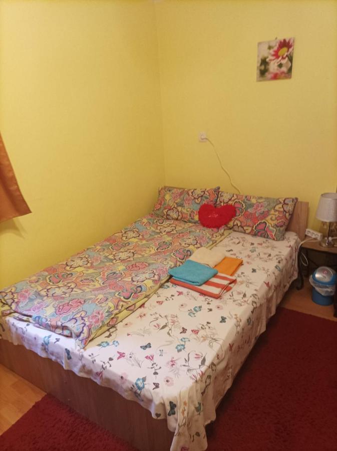 Apartment Cu Doua Si Gradina