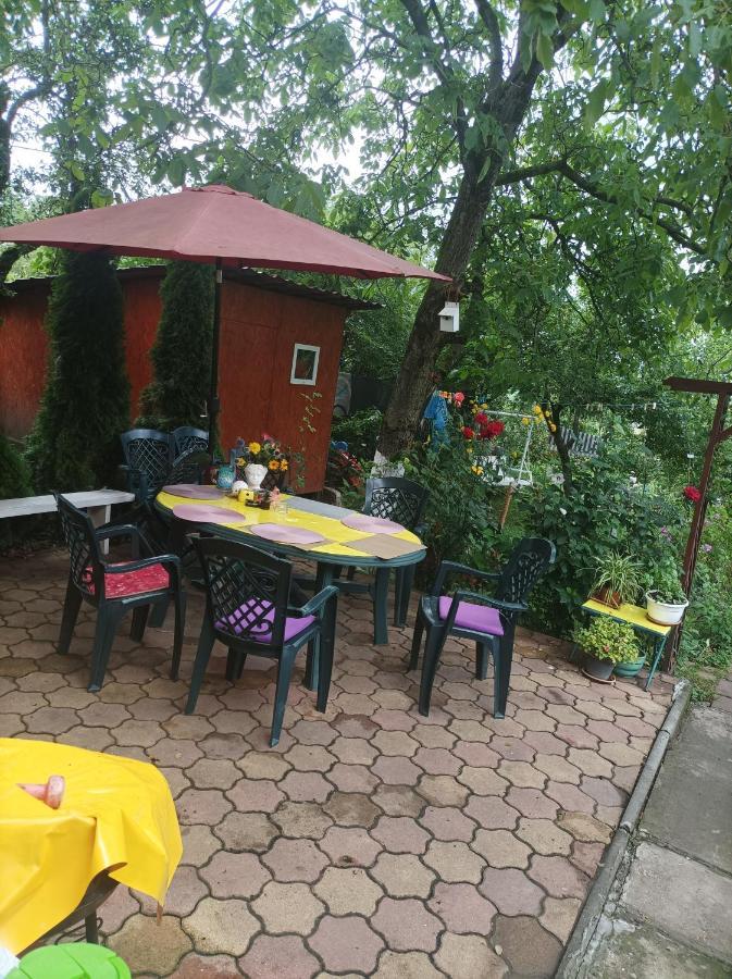 Apartment Cu Doua Si Gradina *