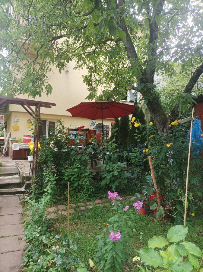 Apartment Cu Doua Si Gradina Cluj-Napoca