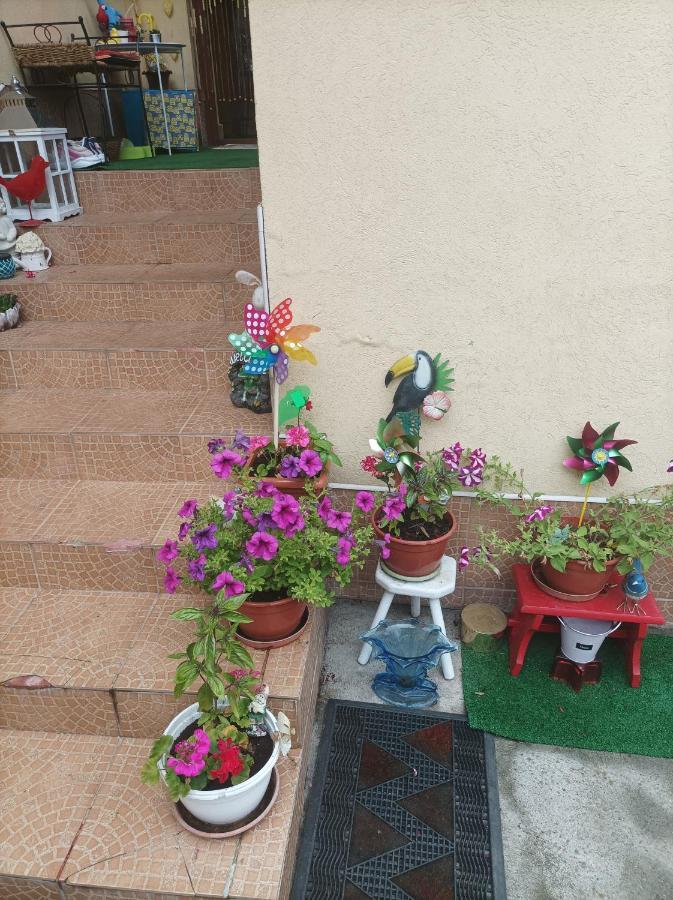 Cu Doua Si Gradina * Cluj-Napoca