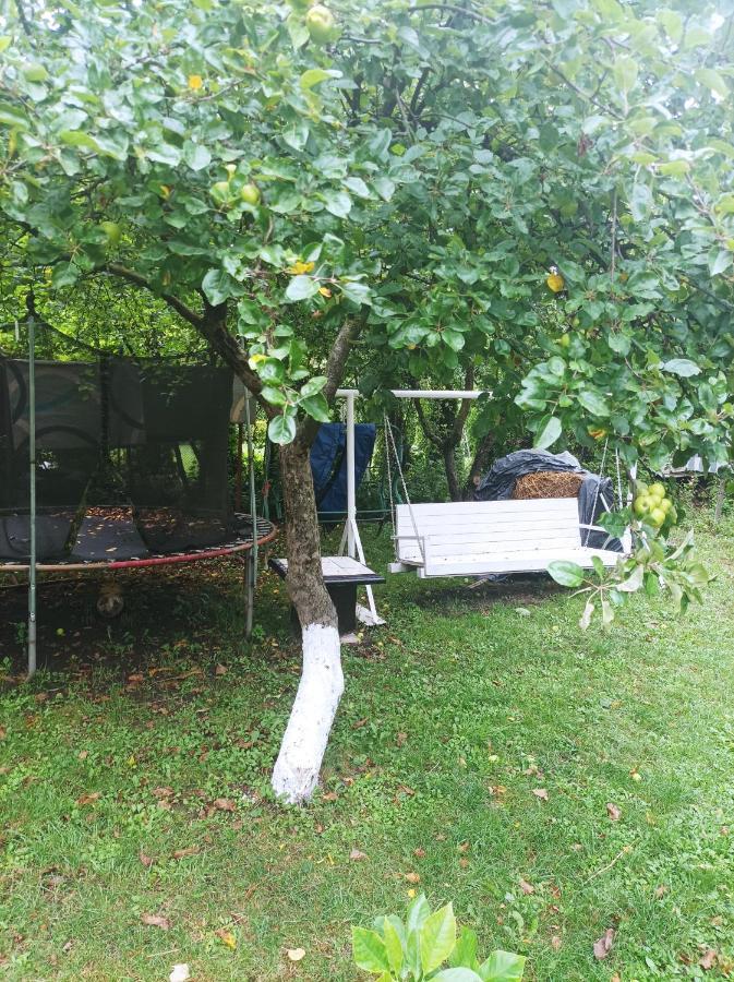 Apartment Cu Doua Si Gradina *