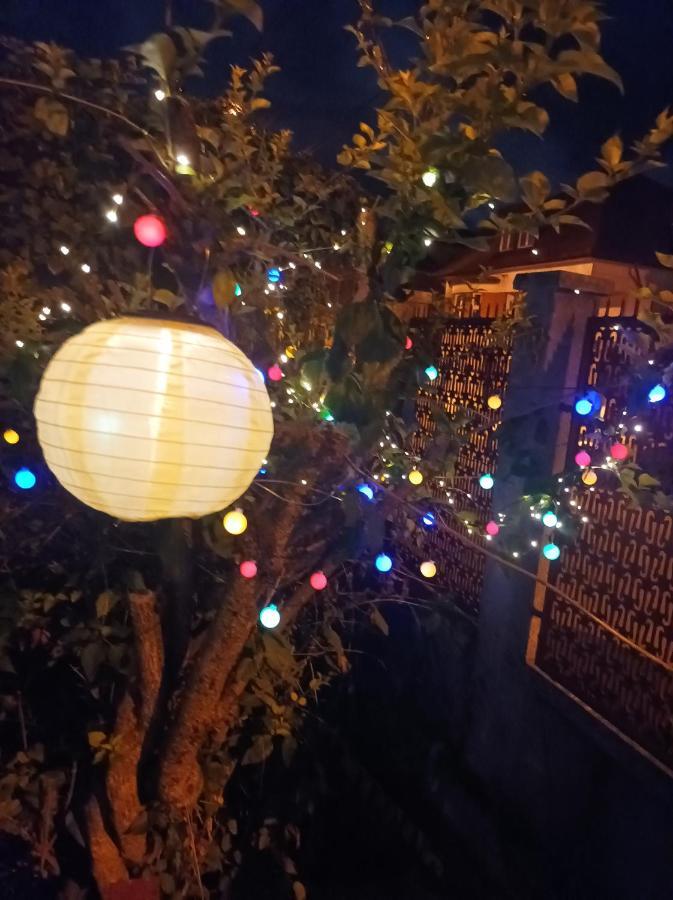 Apartment Cu Doua Si Gradina