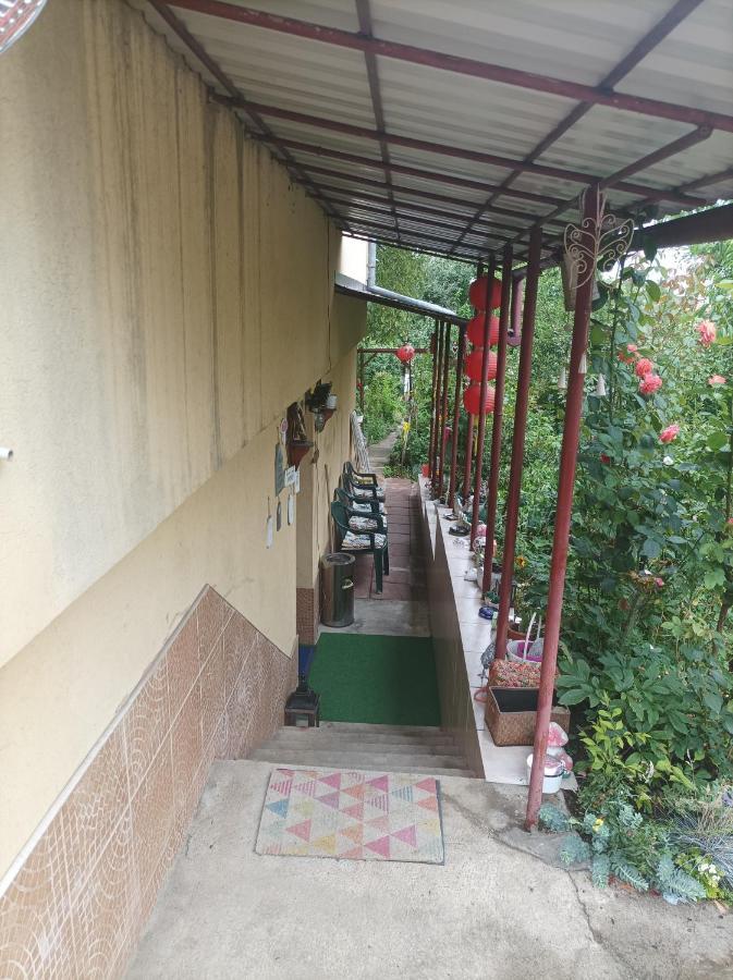 Cu Doua Si Gradina *