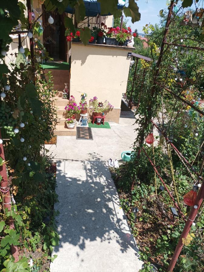 Cu Doua Si Gradina Apartment
