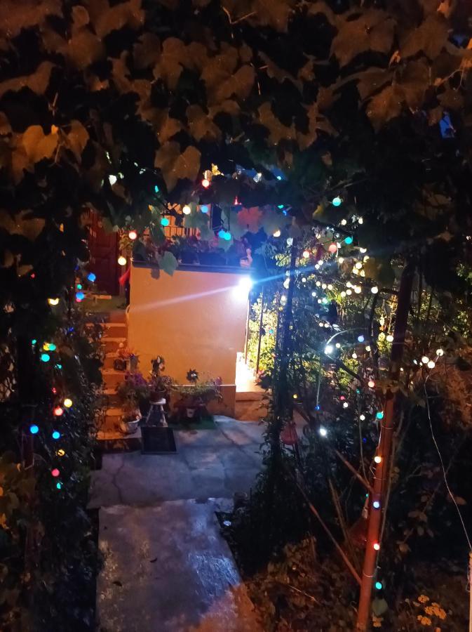 Apartment Cu Doua Si Gradina