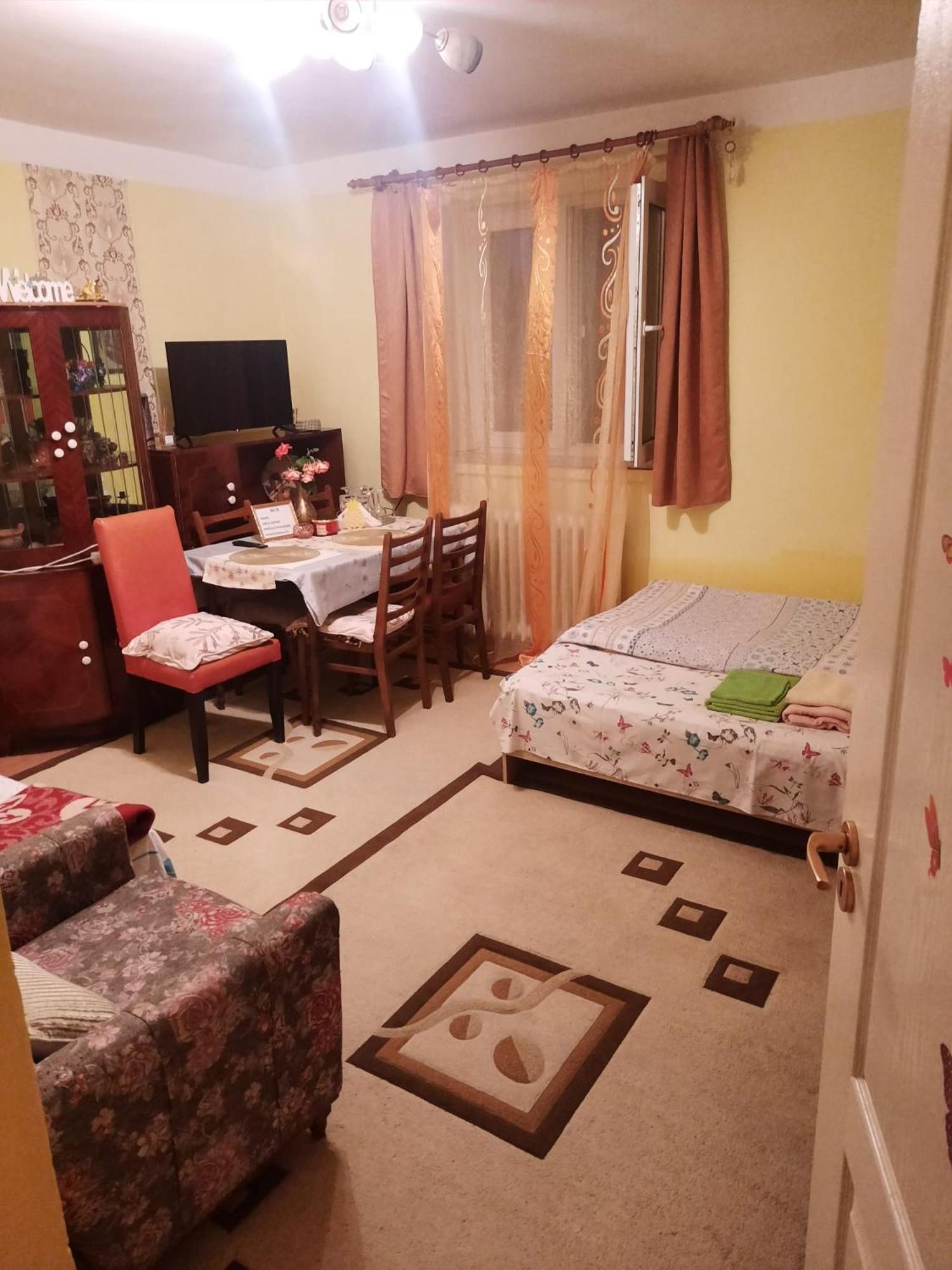 Apartment Cu Doua Si Gradina