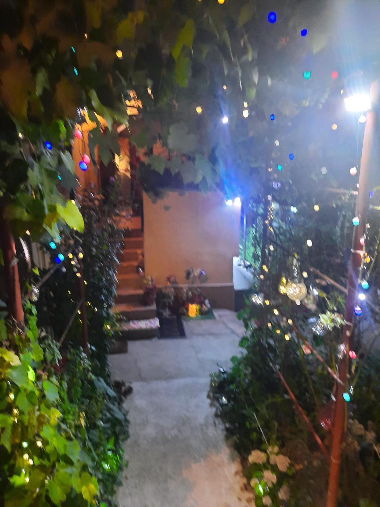 Apartment Cu Doua Si Gradina *