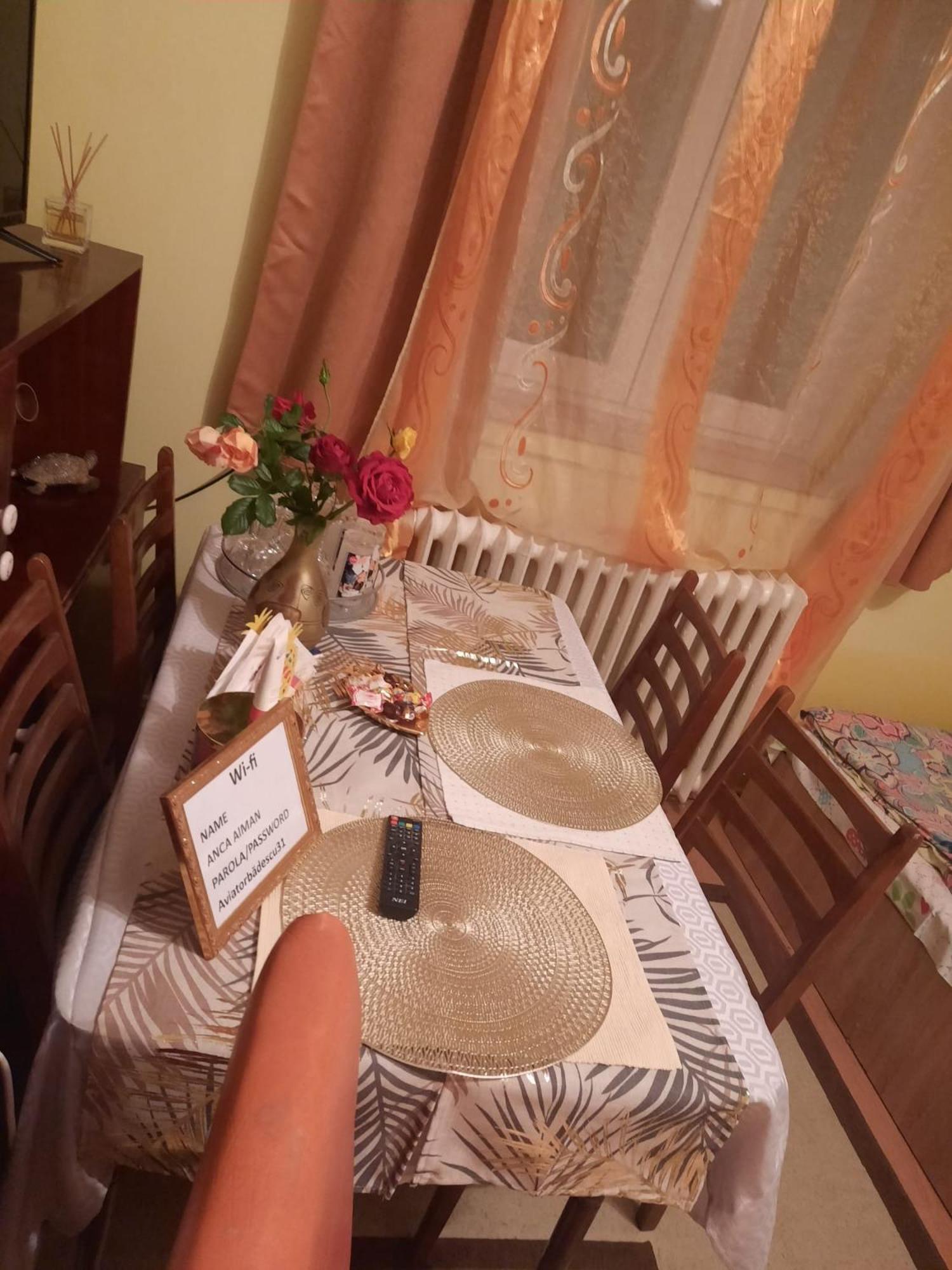 Apartment Cu Doua Si Gradina