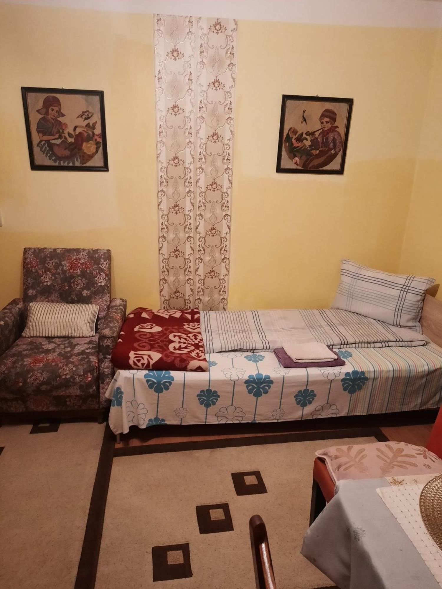Apartment Cu Doua Si Gradina *
